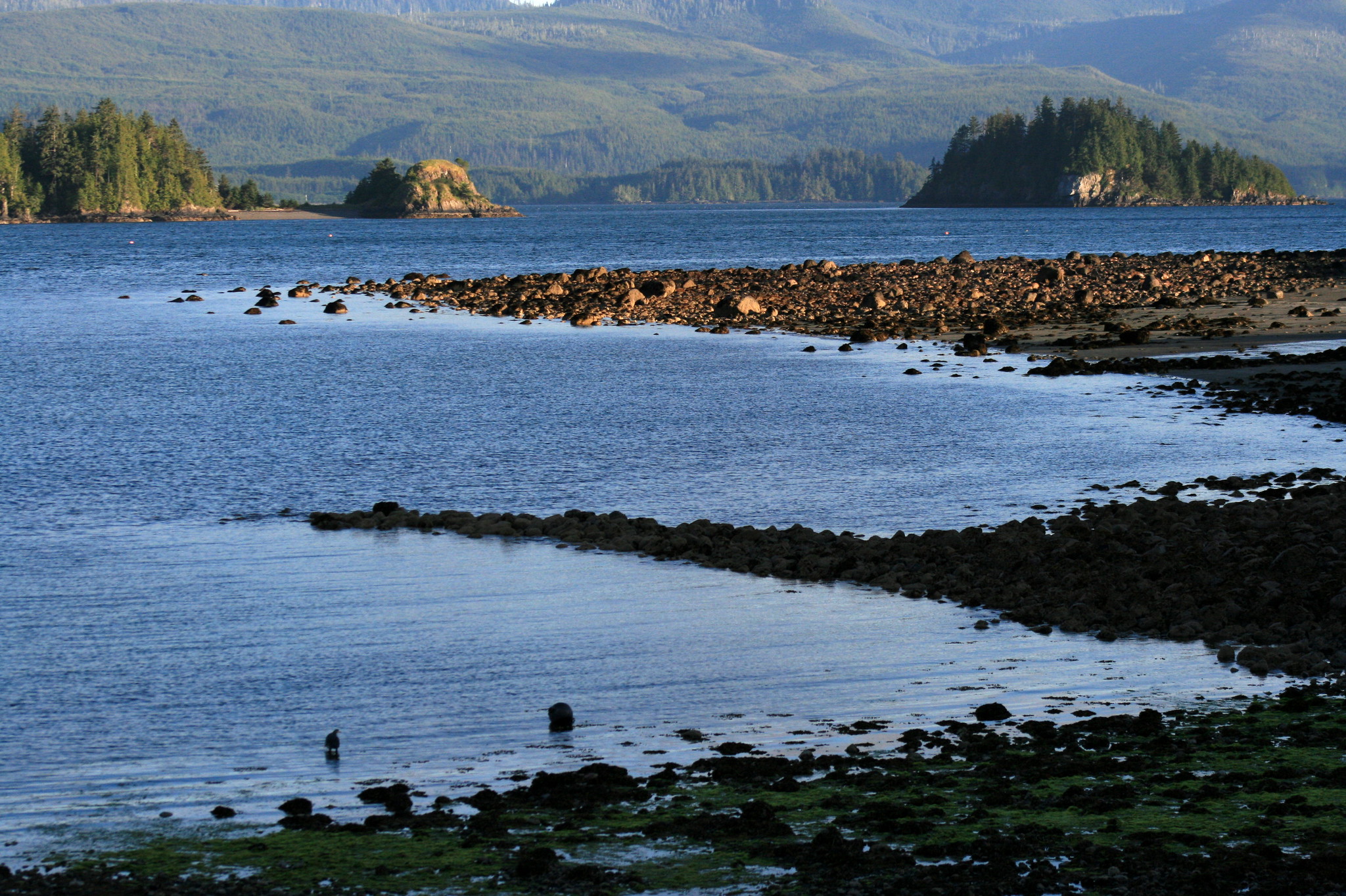 Haida Gwaii